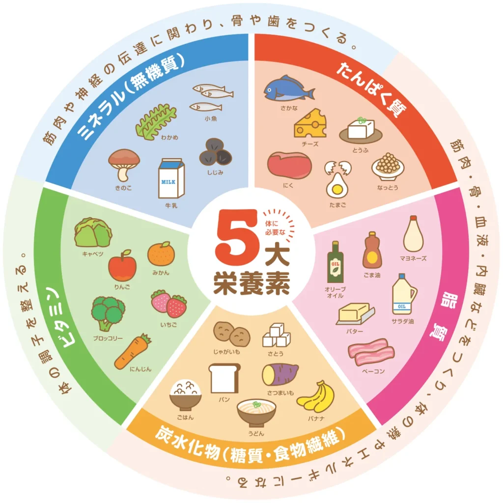 5大栄養素について図示したもの ブログ用のアイキャッチ画像